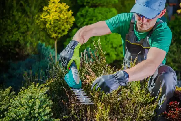 landscaping services Overton